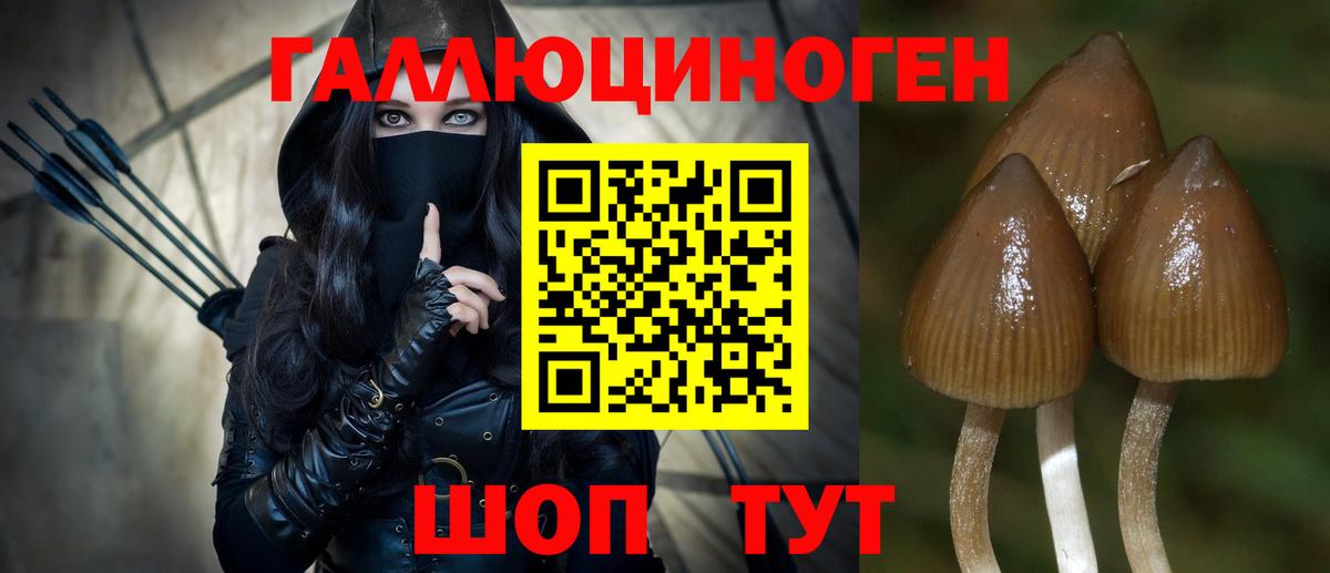 Мирный  Псилоцибиновые грибы Cubensis  Псилоцибиновые грибы мухоморы  Вход с VPN 